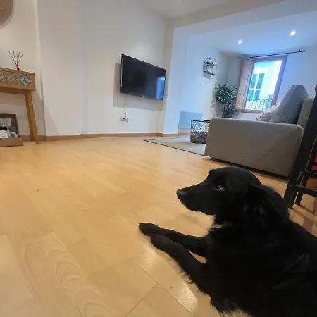 Atuaire Picotas En El Centro Historico 아파트 *