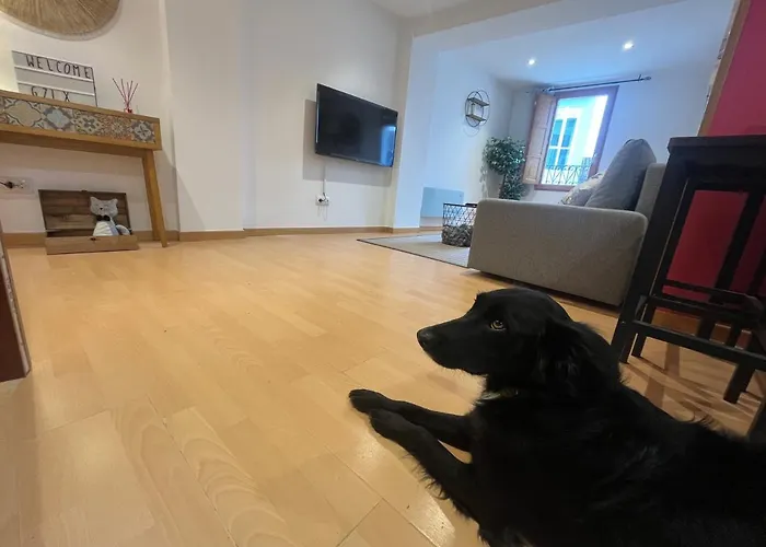 Atuaire Picotas En El Centro Historico 아파트 *